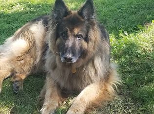 7032 Walnut Hill Rd, Manitou Beach, MI 49253