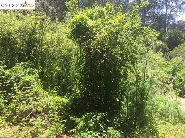 2nd image of 5766 N Arlington Blvd