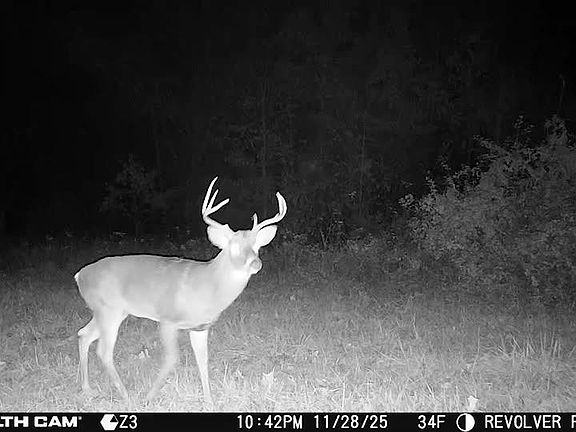 4th image of 5238 Woodhaven Rd