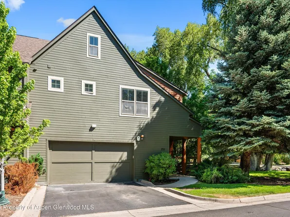 711 Evans Ct, Basalt, CO 81621