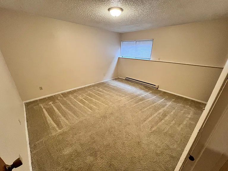 Cinebar Apartments — Photo 8
