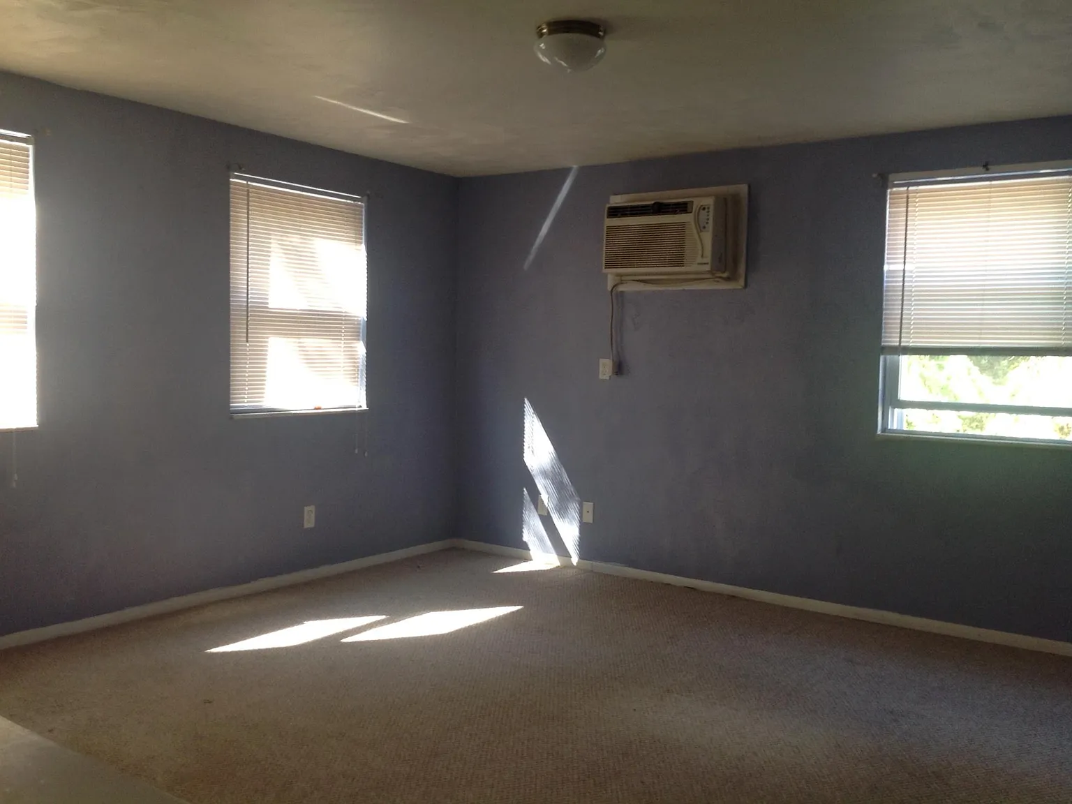 1 bed, $960 — Photo 1