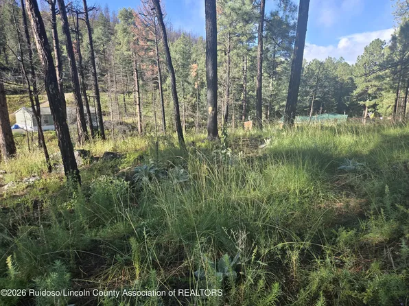 103 Wild Onion Run, Alto, NM 88312