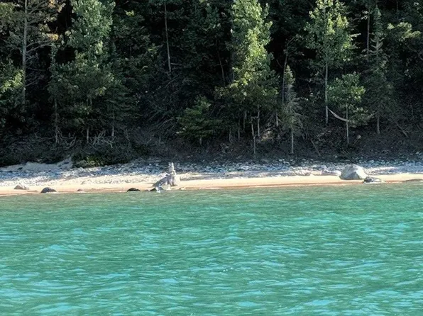 S Lake Shore Dr, Harbor Springs, MI 49740