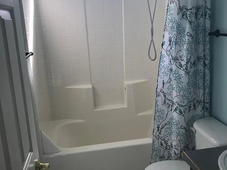 Guest bath is full of light.