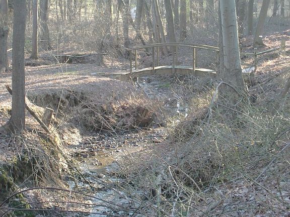 Stream with bridge in back yard
