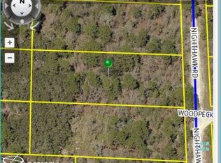 17467 Nighthawk Rd, Weeki Wachee, FL 34614