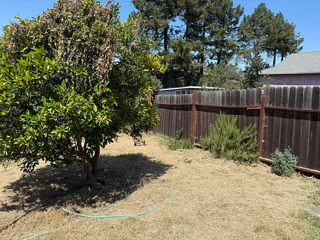 16781 Ehle St — Photo 6