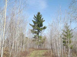 Baraga Plains Rd, Baraga, MI 49908