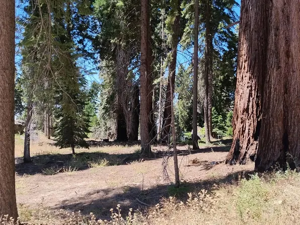 54534 Manzanita Drive, Sequoia Crest, CA 93265