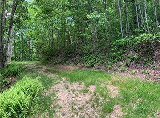 LOT 18 Racoon Cv, Bryson City, NC 28713
