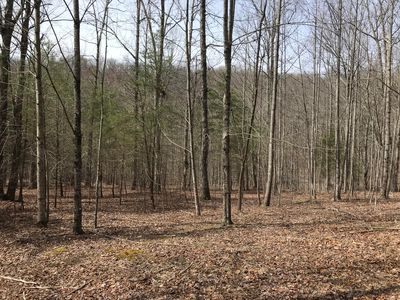 49 Big Falls Trl, Dunlap, TN, 37327