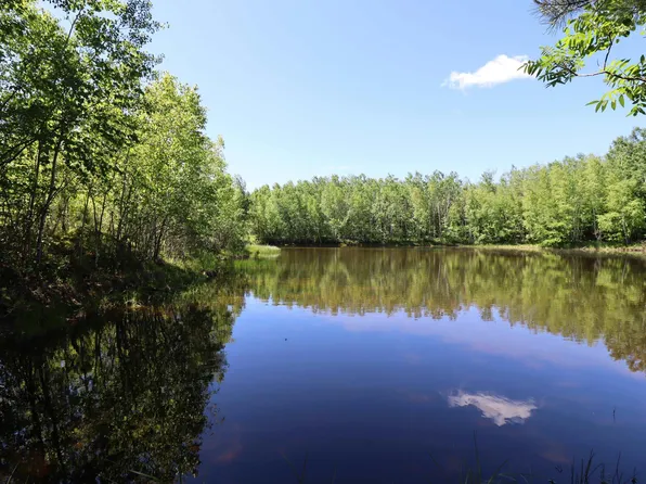 68771 Surfass Rd, High Bridge, WI 54846