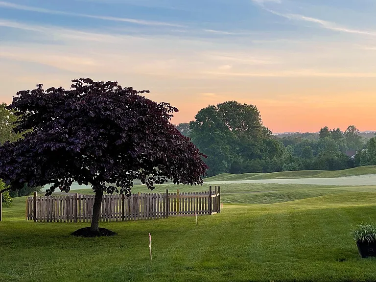 View from the house