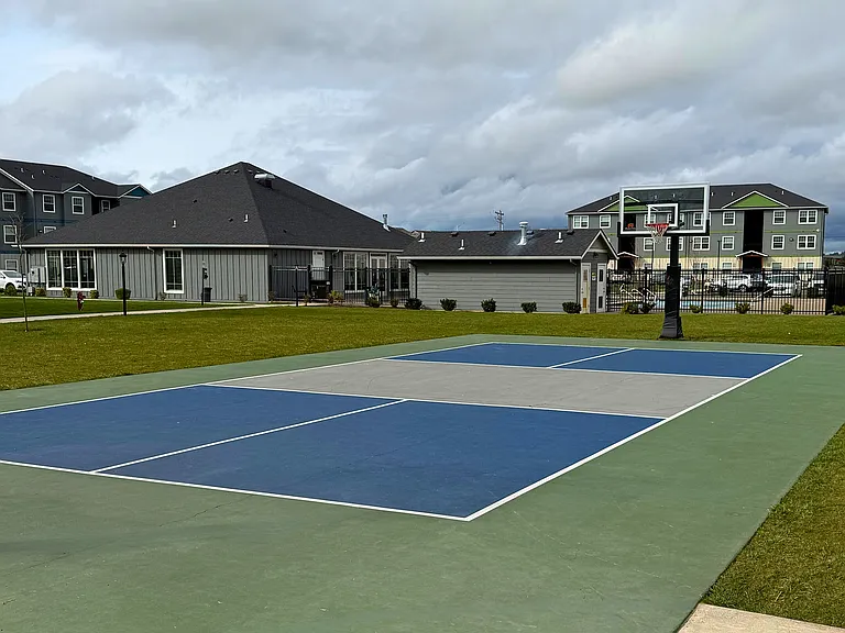 Basketball court