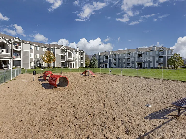 Dog Park