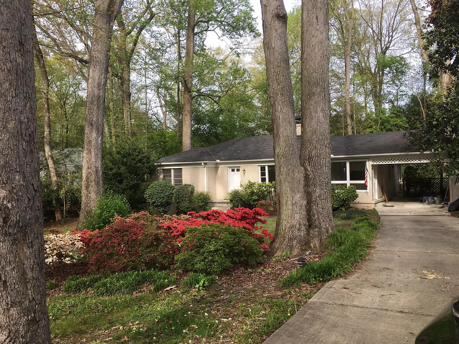 1198 McConnell Dr — Photo 1