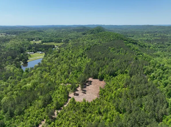0 Williams Rd, Piedmont, AL 36272