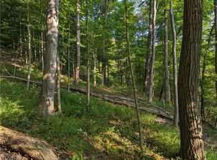 Wegee Rd, Shadyside, OH 43947