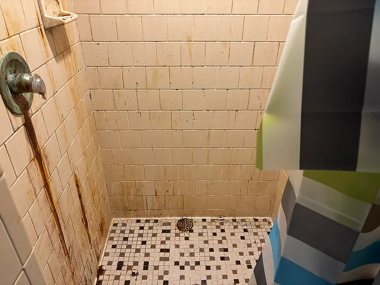 437 Wake Rd — Photo 28