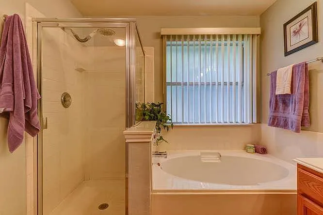 910 Wild Petunia Way — Photo 6