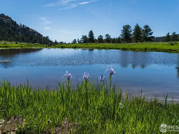 Shoshana Ranch Rd, Livermore, CO 80536