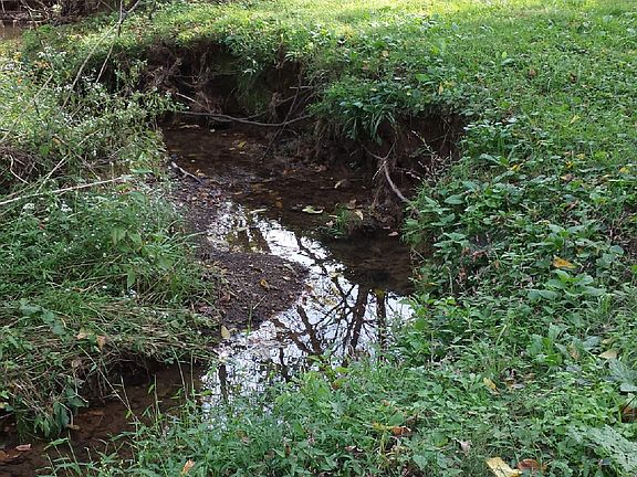 Running Creek Never Goes Dry