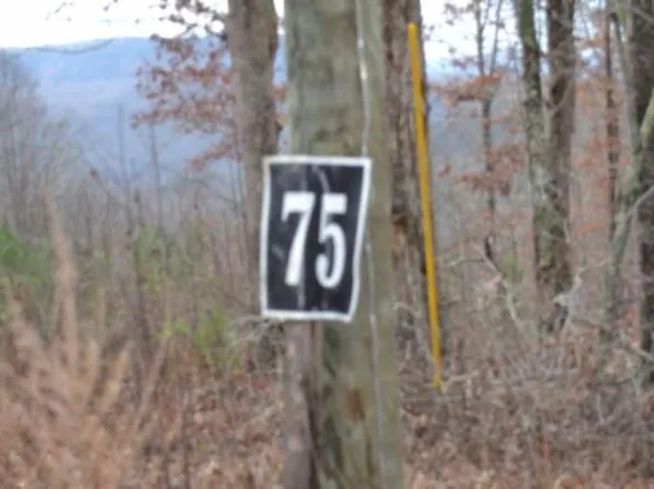 LOT 75 Tomahawk Rd, Jamestown, TN 38556