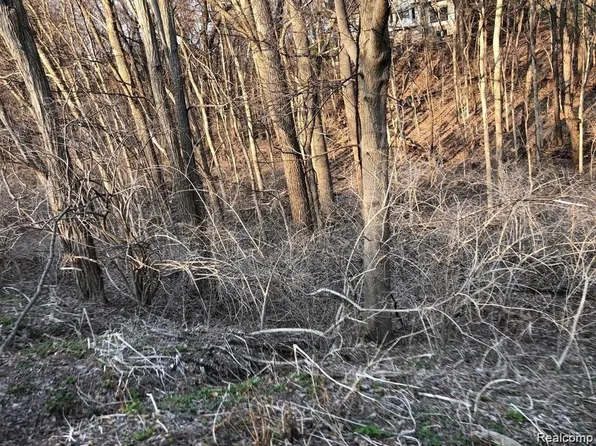 Culver Rd, Brighton, MI 48114