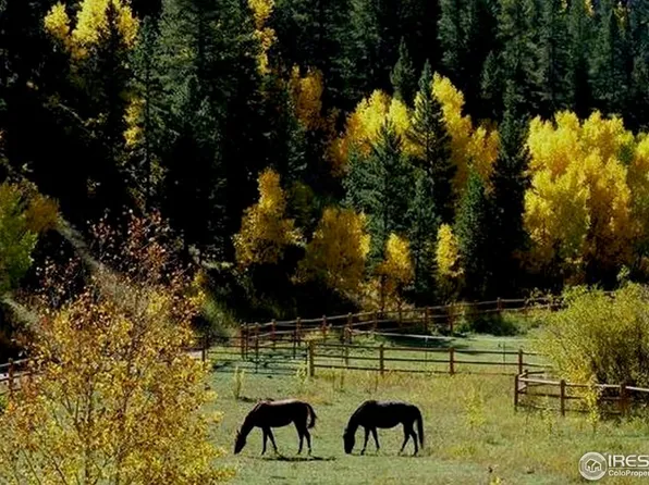 7127 Highway 72, Nederland, CO 80466