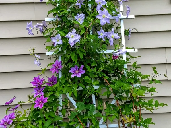 310 Vankirk Rd, Newfield, NY 14867