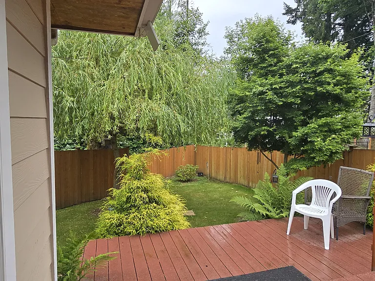 Back deck and yard