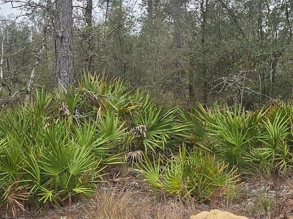 2nd image of 0 NW County Road 274 Rd #274