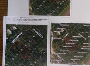 16516 Kanawha Ln, Spring Hill, FL 34610