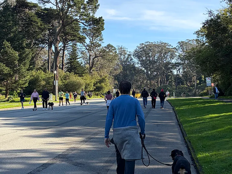 Weekend Walks in Beautiful Golden Gate Park (Roads Closed For Pedestrian Biking/Walking/Skating/Running)