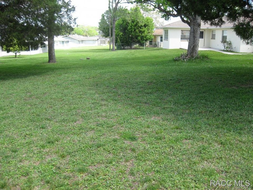2nd image of 459 W Buttonbush Dr