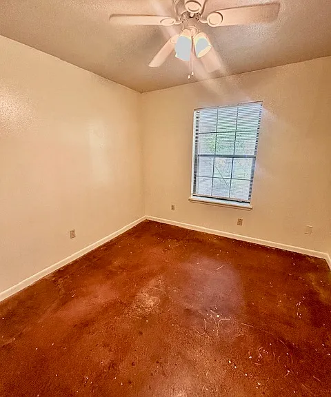 2910 Forestwood Dr — Photo 5