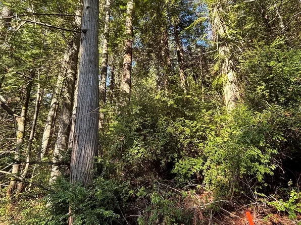 0 NKA Yashi Road, Brinnon, WA 98320