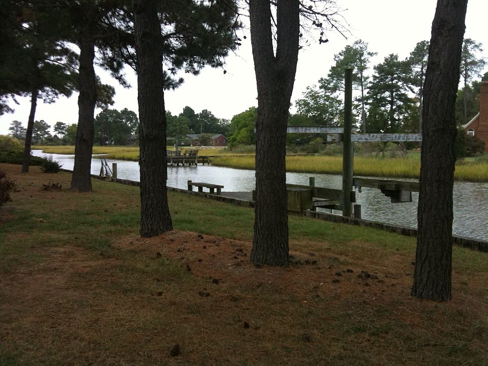 Backyard View