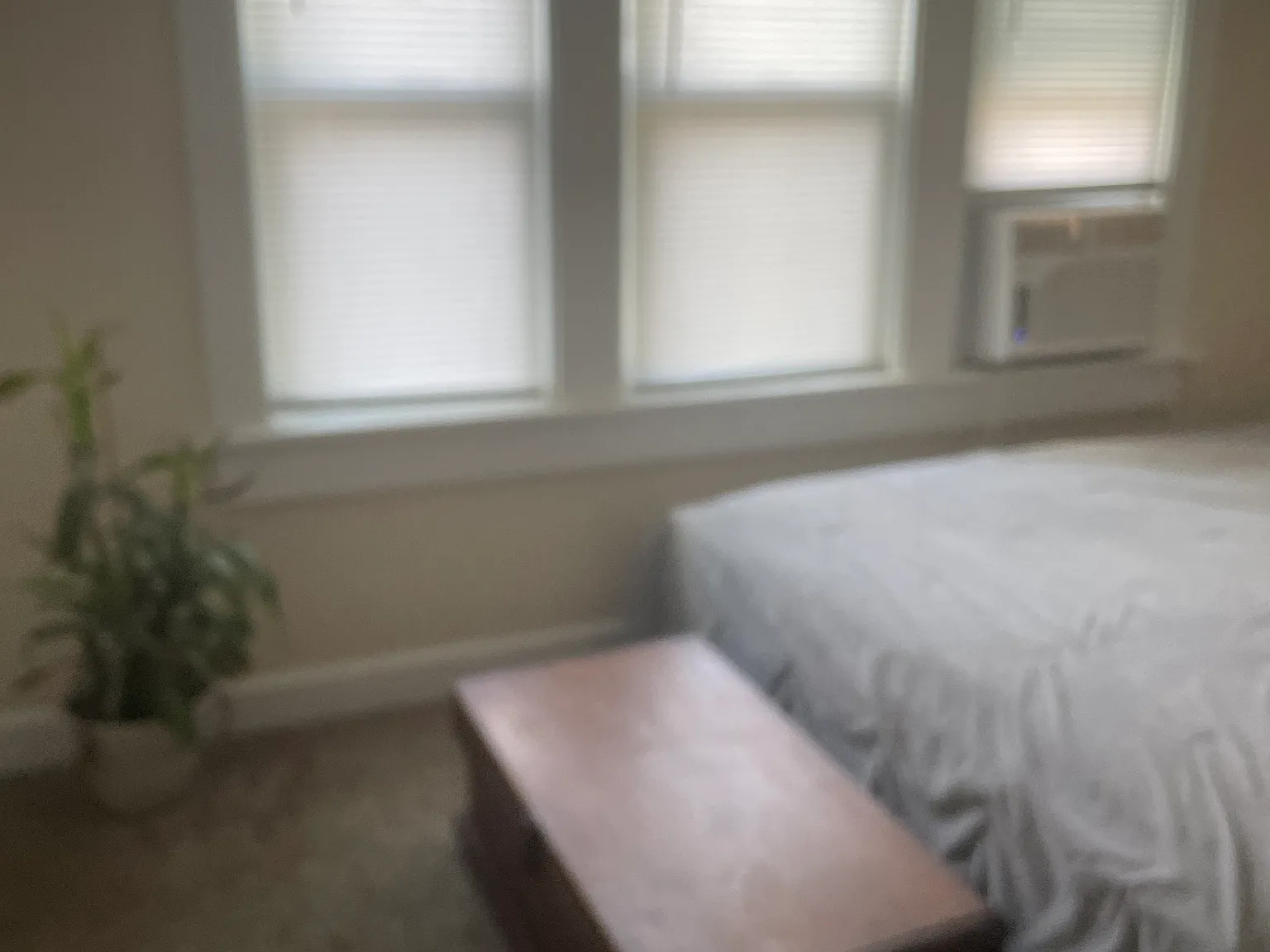 1 bed, 2060 sqft, $900 — Photo 2