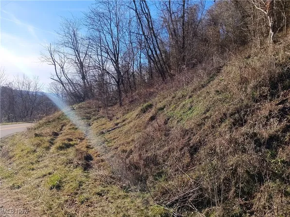 Ohio R Hill Wood St, Sistersville, WV 26175