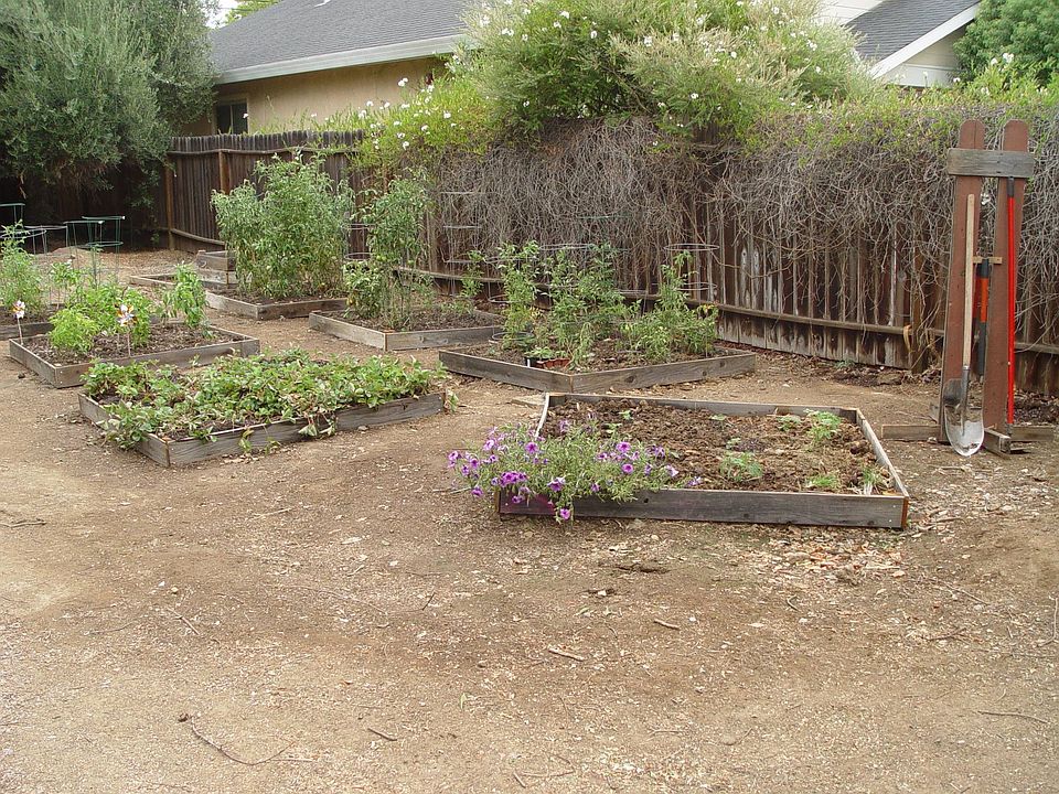2nd image of 3941 Y St