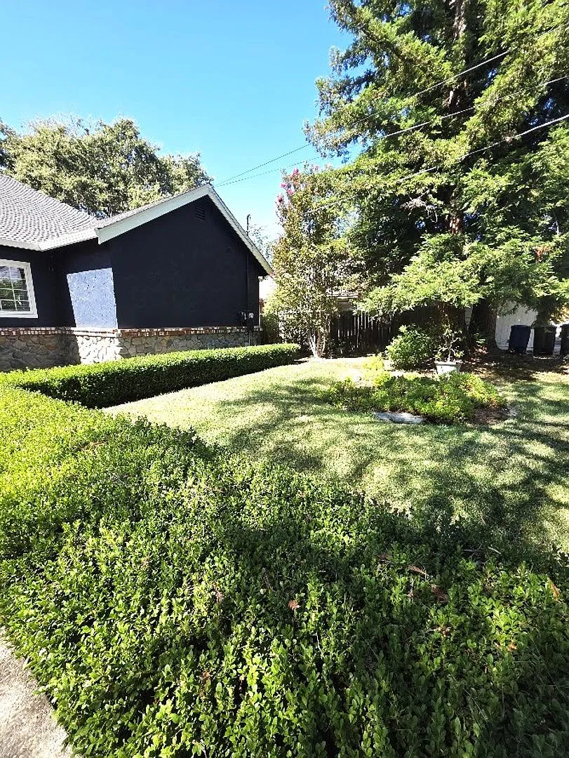 A Gem at Concord/Clayton Border - 4bd/2ba+basement & POOL — Photo 4