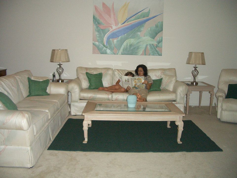 Living Room Area