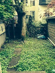 Rented by Urban Pads