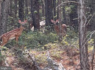 Baker Mountain Dr, Yellow Spring, WV 26865