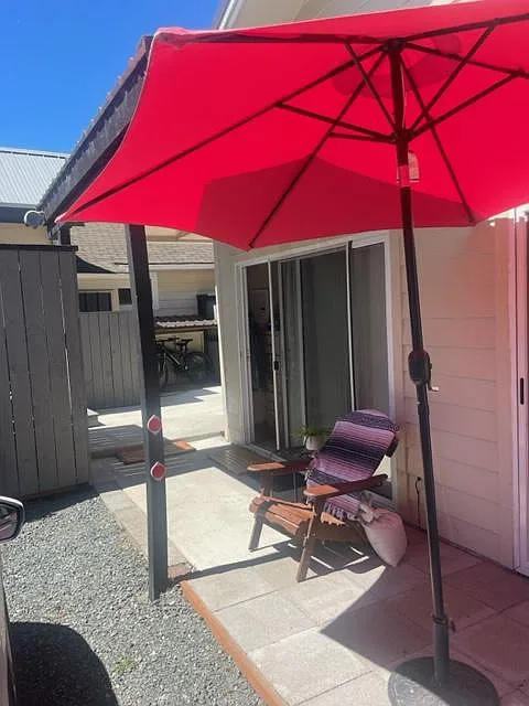 1 bed, 600 sqft, $1,250 — Photo 3