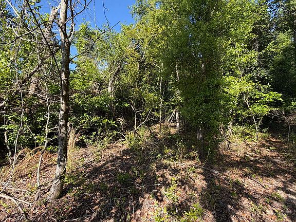 4th image of Tbd 217th Rd