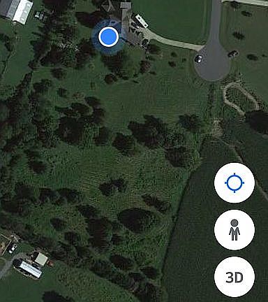 Park-like setting.