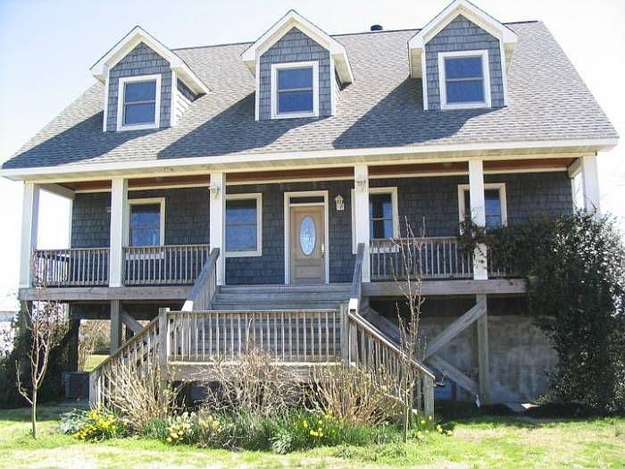 Daffodils everywhere